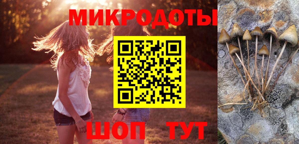 Галлюциногенные грибы прущие грибы  Вход с VPN  Псилоцибиновые грибы GOLDEN TEACHER  Сочи 