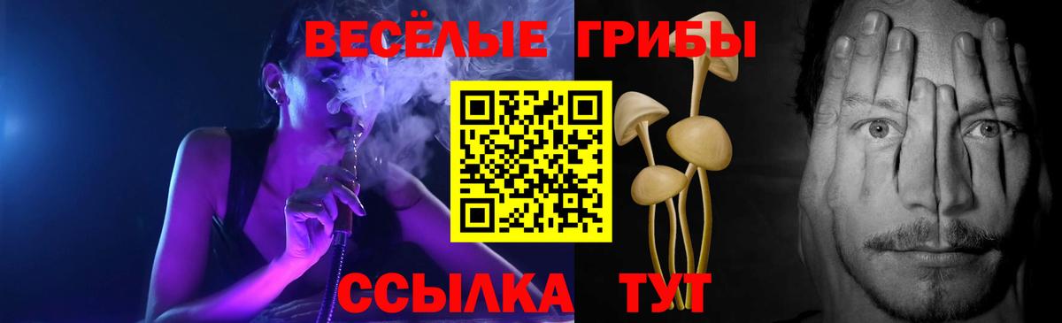 Псилоцибиновые грибы Magic Shrooms Сочи